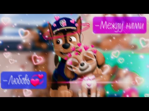 Видео: 💌Гонщик и Скай💌(Между нами любовь)~Для канала marika seitova~💌Chase x Skye💌