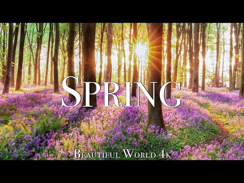 Видео: Удивительные цвета весны 4K Nature Relaxation Film - расслабляющая фортепианная музыка