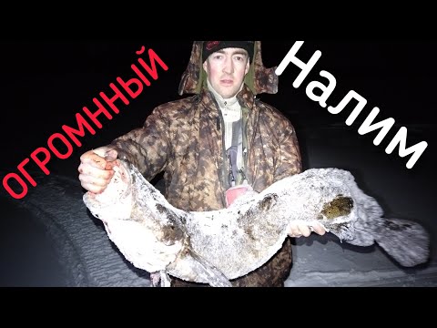 Видео: Зимняя Карелия 2022 январь. (пос. Шальский, р. Водла, оз. Онежское)