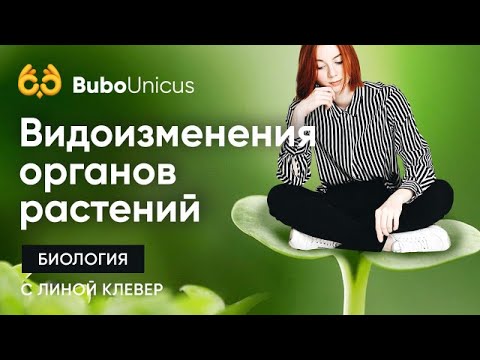 Видео: Видоизменения органов растений | БИОЛОГИЯ ЕГЭ | Лина Клевер