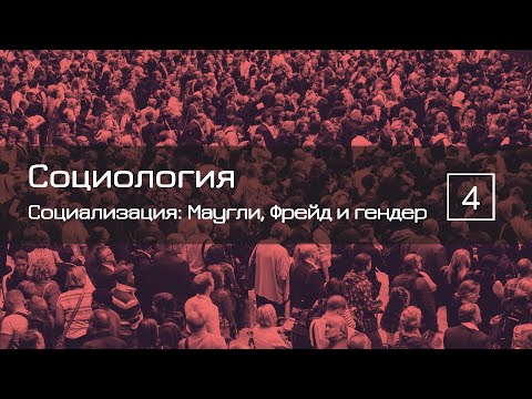 Видео: Социализация: обобщенный другой, теория зеркального Я, тотальные институты — СОЦИОЛОГИЯ 4 — ТЕЛОС