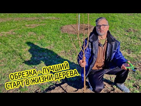 Видео: Обрезка плодовых деревьев весной лучший старт в жизни дерева. Не совершайте ошибок.