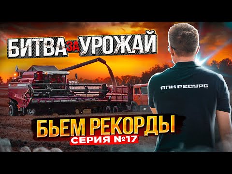 Видео: Уборочная ОЗИМЫХ 2022 - Рекордный урожай в Республике Мордовия! - ПАЛЕСЬЕ GS 12 справится?