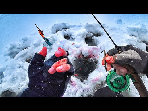 Видео: БЫЛ НАКАЗАН! УТАЩИЛО УДОЧКУ! ВСЕ РУКИ В КРОВИ! НО НЕ ОСТАНОВИТЬСЯ!!! ТАК ЛОВЯТ В ЯКУТИИ!