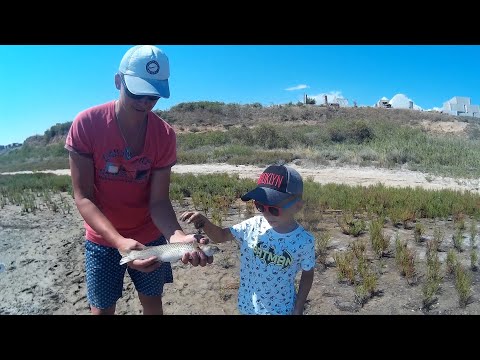 Видео: Ловля Пеленгаса в Кирилловке Федотова коса Утлюкский лиман