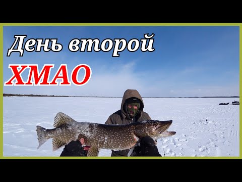 Видео: Рыбалка на диких озёрах ХМАО. День второй.