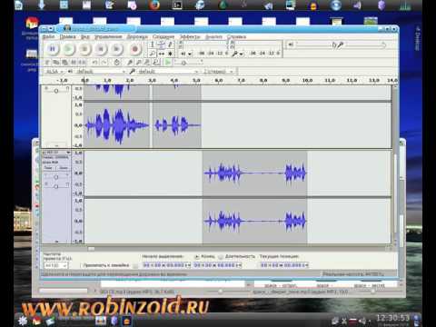 Видео: Аудасити. Накладываем звук на звук и всё это бесплатно
