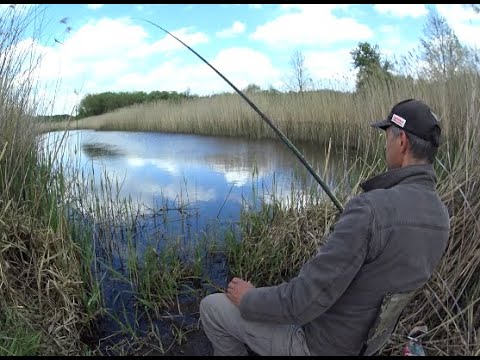 Видео: Чудова рибалка на поплавок, на річці Уж  Хороший кльов плотви і красноперки.