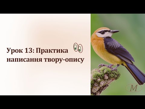 Видео: Урок 13: Практика написання твору-опису. Курс "Як написати твір-опис тварини у художньому стилі?"