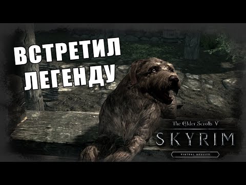 Видео: The Elder Scrolls V: Skyrim [VR] #7 *ВСТРЕТИЛИ ЗВЕЗДУ* (Стрим от 27.05.2023)