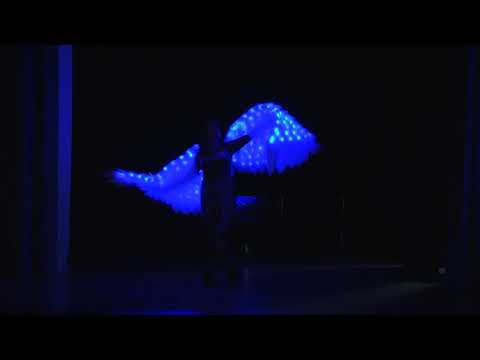 Видео: Niki Zahariev composer, Sultana dance, Мога да летя, I can fly, World music