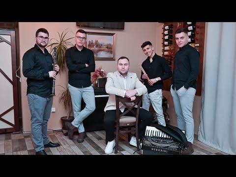 Видео: Група Твинс - Птицо бела / Grupa Twins - Ptico bela (COVER)