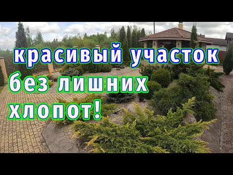 Видео: Как сделать участок красивым и не тратить время на уход