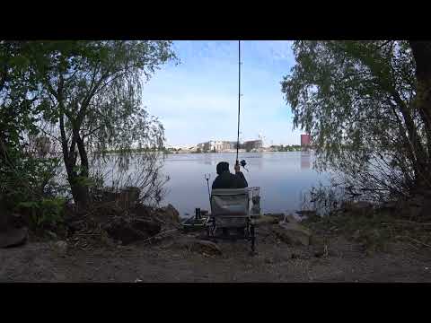 Видео: Фидерная рыбалка на Днепре в Киеве.Ловля фидером на реке. Рыбалка Киев 2022