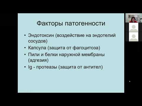 Видео: Г.Ш. Исаева. Патогенные нейссерии (менингококки и гонококки)