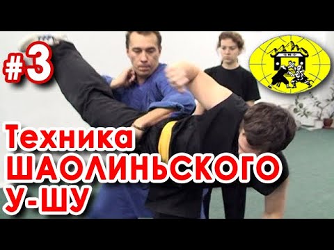 Видео: Шаолиньское У-Шу: технический семинар (окончание).
