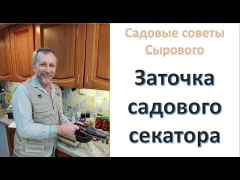 Видео: Заточка садового иснтрумента. Заточка секаторов. Садовые советы Сырового А.А.