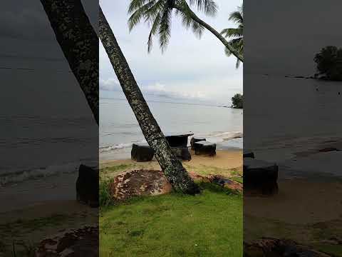 Видео: Я НЕ ПОХОЖА НА ДРУГИХ ЛЮДЕЙ - И ЭТО ХОРОШО!