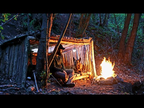 Видео: Кемпинг в приюте Bushcraft с моей собакой - выживание в дикой природе, лесной фильм