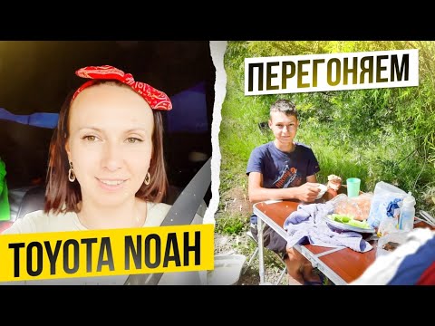 Видео: Перегоняем авто с тремя детьми из Владивостока в Челябинск. Ходим по дворам, ищем огурцы | день 5