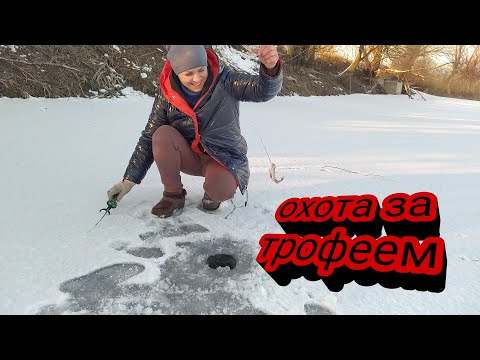 Видео: рано чи пізно трофей буде