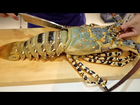 Видео: Вы когда-нибудь видели такую креветку?