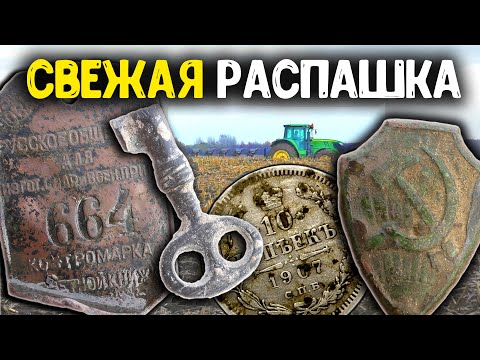 Видео: КОПАЕМ ЦАРСКИЕ МОНЕТЫ НА СВЕЖЕЙ РАСПАШКЕ! КОП ПО СТАРИНЕ ВЫКОПАЛИ НЕОБЫЧНЫЕ НАХОДКИ МЕТАЛЛОИСКАТЕЛЕМ