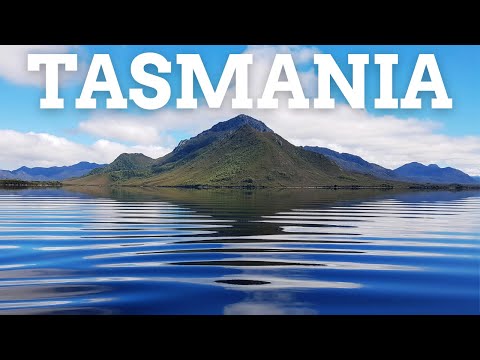 Видео: Затерянные в облаках: жизнь в фургоне в таинственном Центральном нагорье Тасмании