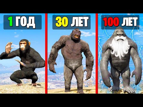 Видео: Я ПРОЖИЛ 100 ЛЕТ за КИНГ КОНГА в GTA 5!! (Моды ГТА 5)