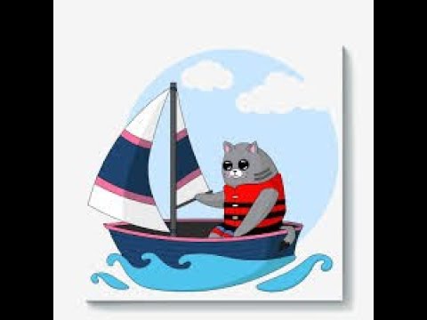 Видео: новый котомаран(the fishercat)