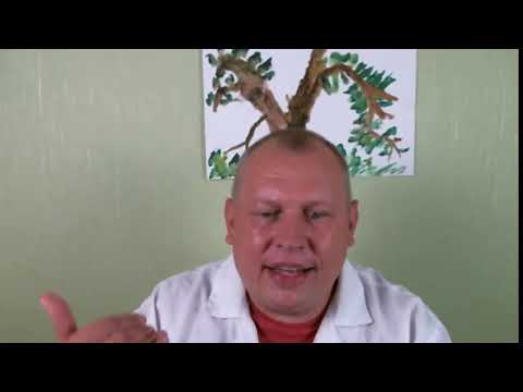 Видео: призрачный ком: почему его нет, но он есть?
