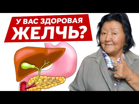 Видео: Признаки здоровой желчи