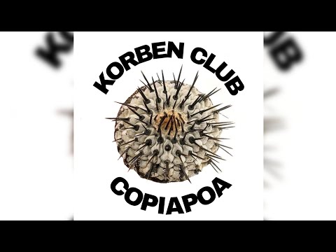 Видео: Мой проект про кактусы Korben Copiapoa Club