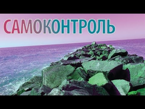 Видео: САМОКОНТРОЛЬ И ДОФАМИНОВЫЙ БУФЕТ
