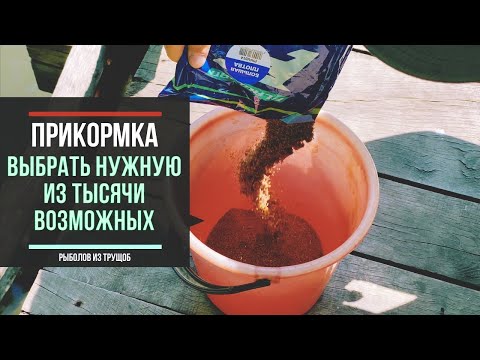 Видео: КАК ВЫБРАТЬ ПРИКОРМКУ ДЛЯ РЫБАЛКИ?!Всё что нужно знать рыболову любителю.