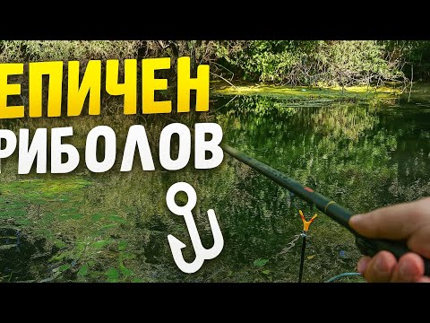 Видео: РИБОЛОВ НА РЕКА - СЪВЕТИ, УЛОВ И ЕМОЦИИ 🎣