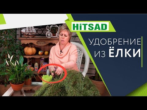 Видео: Не выкидывайте Ёлки 🌲 Сделайте Удобрение ✔️ Улучшайте Почву