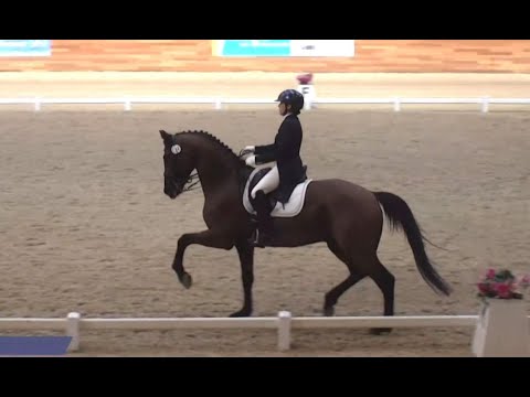 Видео: ВИНИПЕГ и Анна Попова. КЮР Средний приз №1