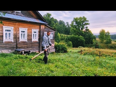 Видео: Живу в Тайге. Волки, Рыси, Медведи, Окуни. Пришлось отдать Рыбу.