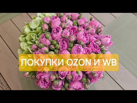 Видео: ПОКУПКИ НА ОЗОН И WB .БЮДЖЕТНАЯ БИЖУТЕРИЯ