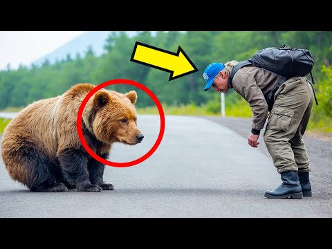 Видео: МЕДВЕДЬ ПРОСИТ О ПОМОЩИ, НО КОГДА ЧЕЛОВЕК УЗНАЁТ ПРИЧИНУ, ОН СХОДИТ С УМА!