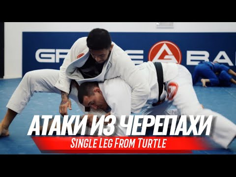 Видео: Атаки из черепахи (Single leg from turtle)