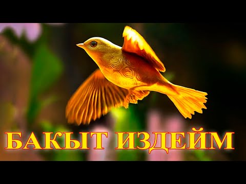 Видео: Бакыт издейм