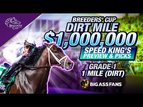 Видео: Предварительный обзор и выбор забега Breeders Cup Dirt Mile. 11-я гонка, 1 ноября 2025 г.