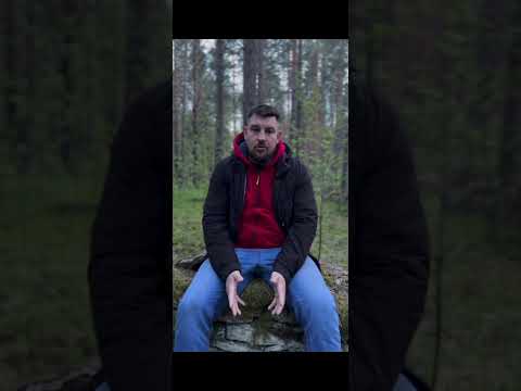 Видео: Уничтожение подклада Мастер класс Валерий Кошт