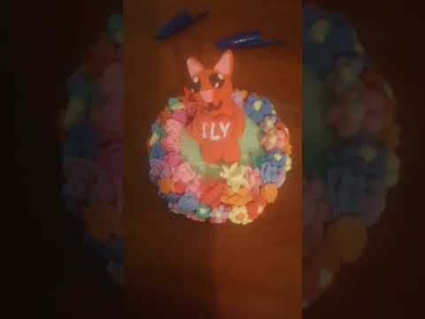 Видео: Ну как вам? 😸😺