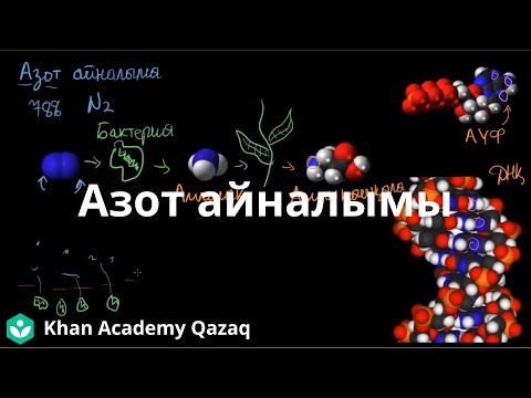 Видео: Азот айналымы | Қазақ Хан Академия