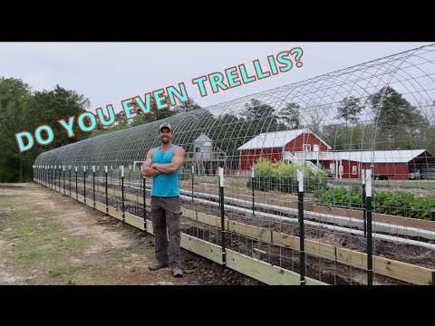 Видео: Изготовление решётчатой ​​загона для скота | Инструкции/сделай сам