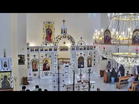 Видео: Трансляція