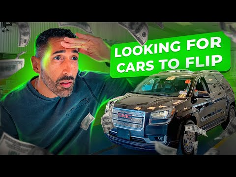 Видео: Я пытался найти автомобили для продажи на аукционе дилера, но это было нелегко